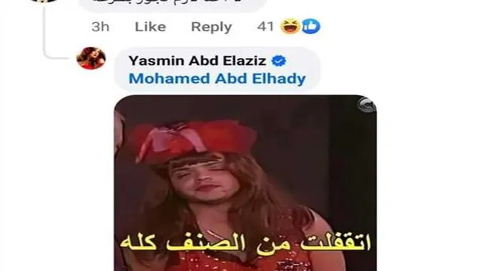 معجب يطلب الزواج من ياسمين عبد العزيز.. ورد فعل