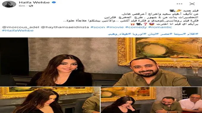 هيفاء وهبي تتعاقد على بطولة فيلم جديد.. تفاصيل